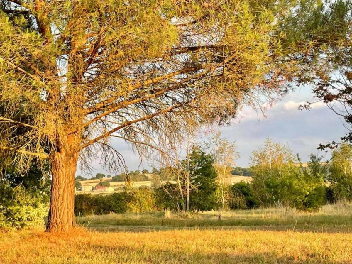 Le Parc De Gouts Villa Aiguillon Exteriör bild