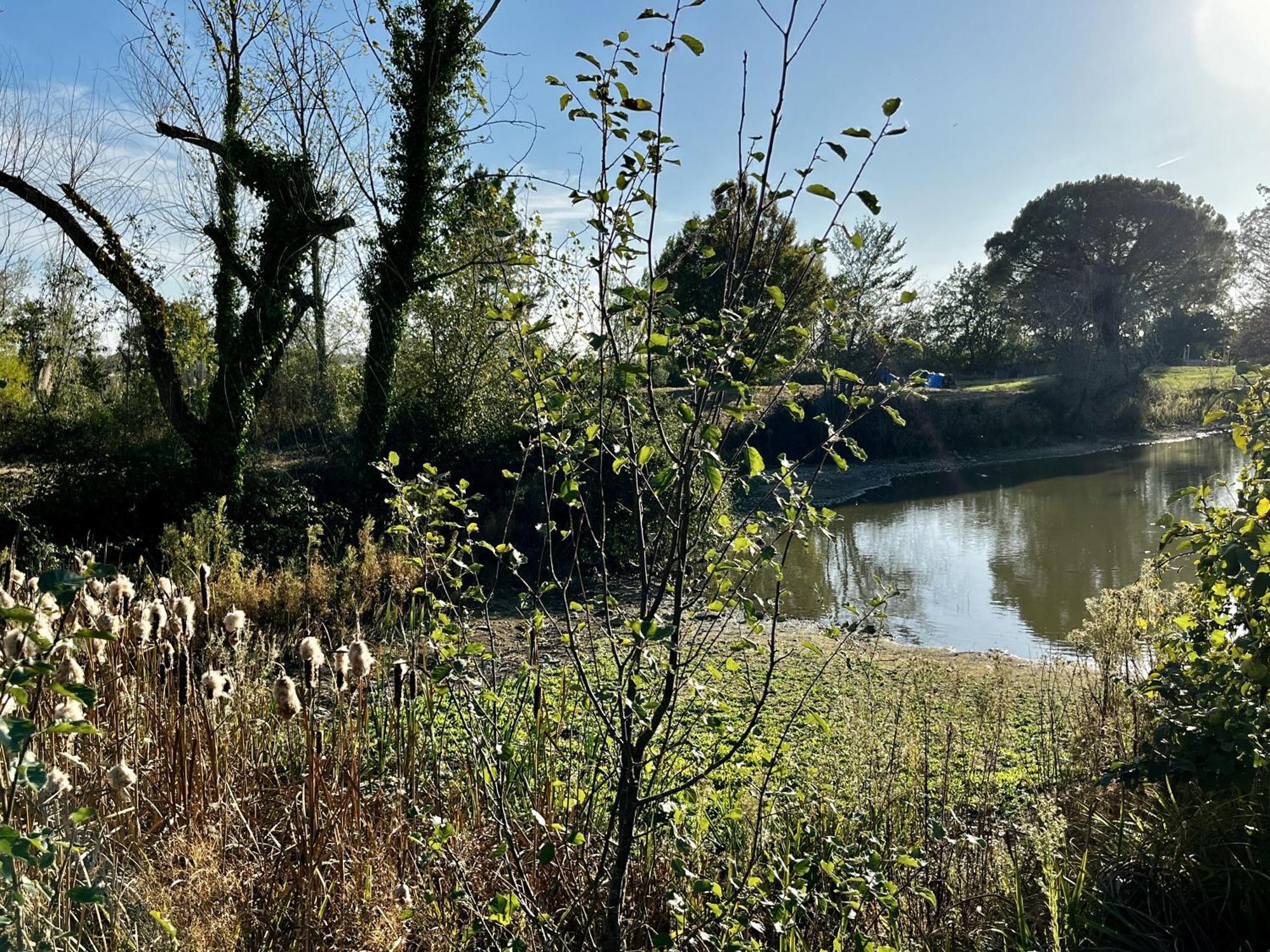 Le Parc De Gouts Villa Aiguillon Exteriör bild