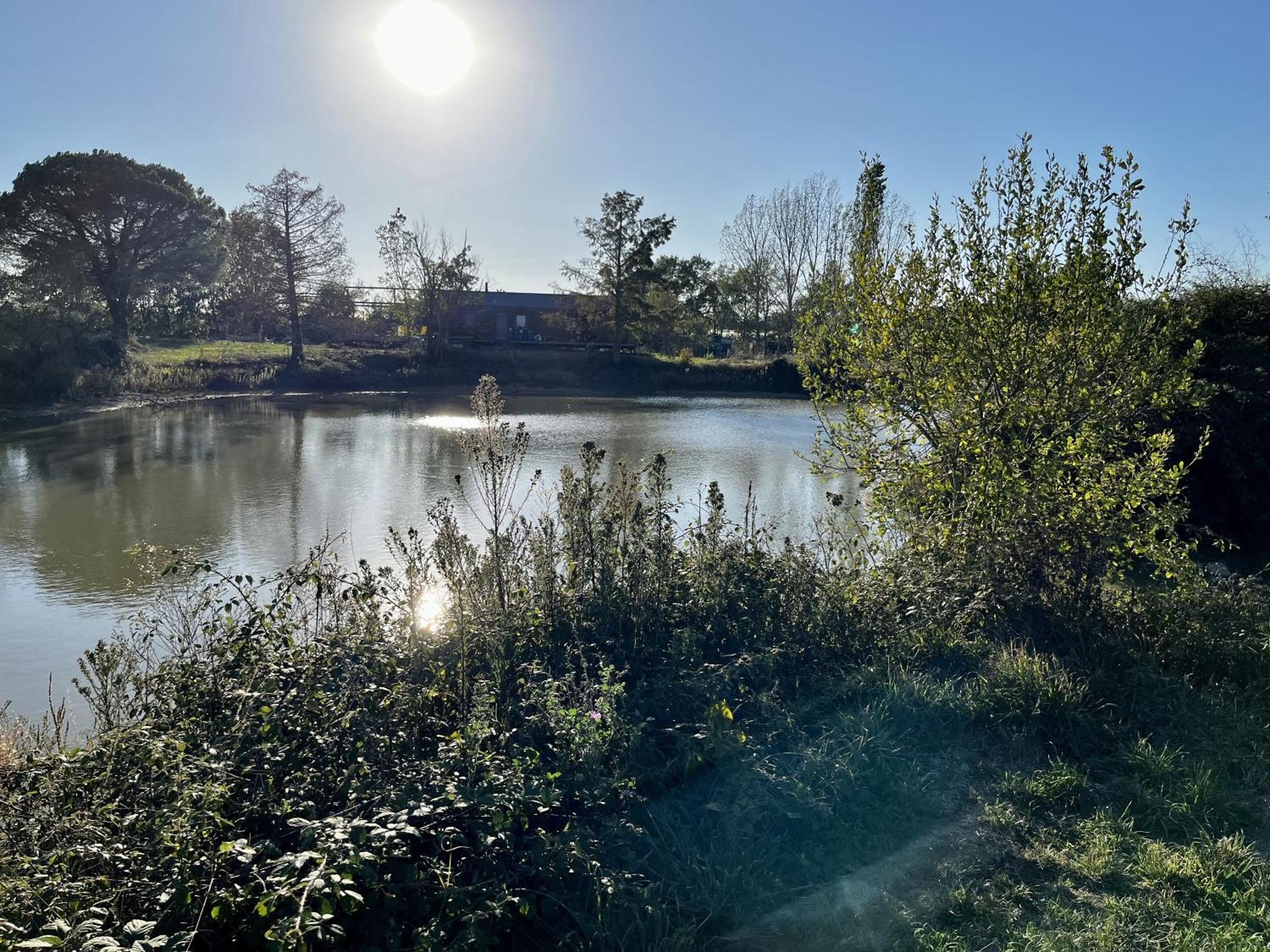 Le Parc De Gouts Villa Aiguillon Exteriör bild